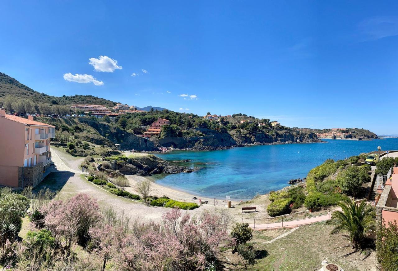 Splendide Appartement Climatise Avec Vue Sur Mer Et Clocher - Parking Et Wifi Collioure Exterior foto